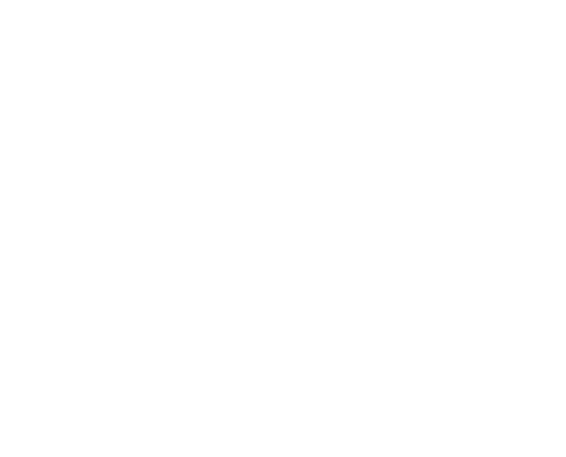 ICBAI LLC